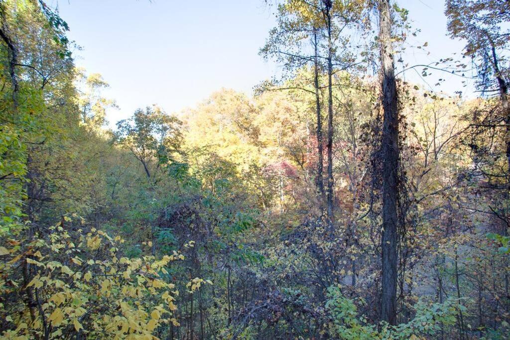 Brave Eagle Cabin Sevierville Ruang foto